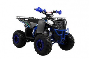 Квадроцикл Wels ATV THUNDER EVO 125 s-dostavka Серый - магазин СпортДоставка. Спортивные товары интернет магазин в Благовещенске 